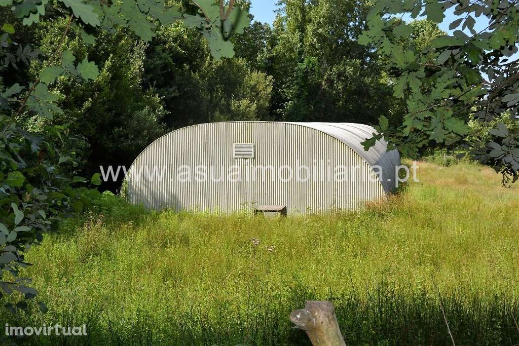 Terreno Agrícola - Sequeiros - Grande imagem: 4/9