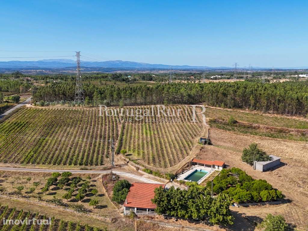 Herdade Vinícola com 33ha e adega equipada perto de Castelo Branco - Grande imagem: 4/60