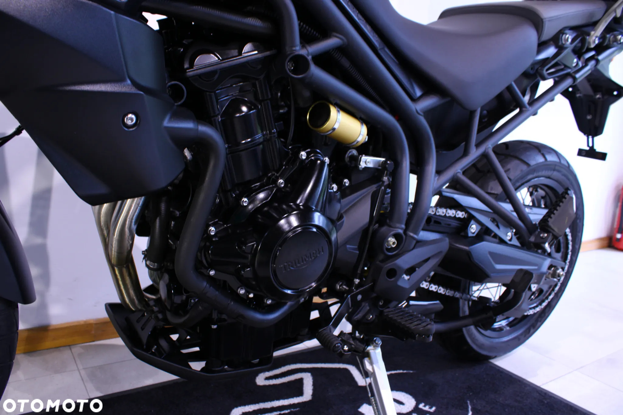 Triumph Tiger - 26