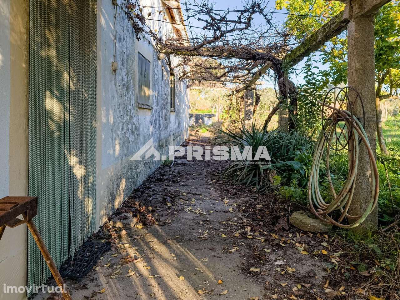 Quintinha T2+1 para Venda em Lardosa - Grande imagem: 3/33