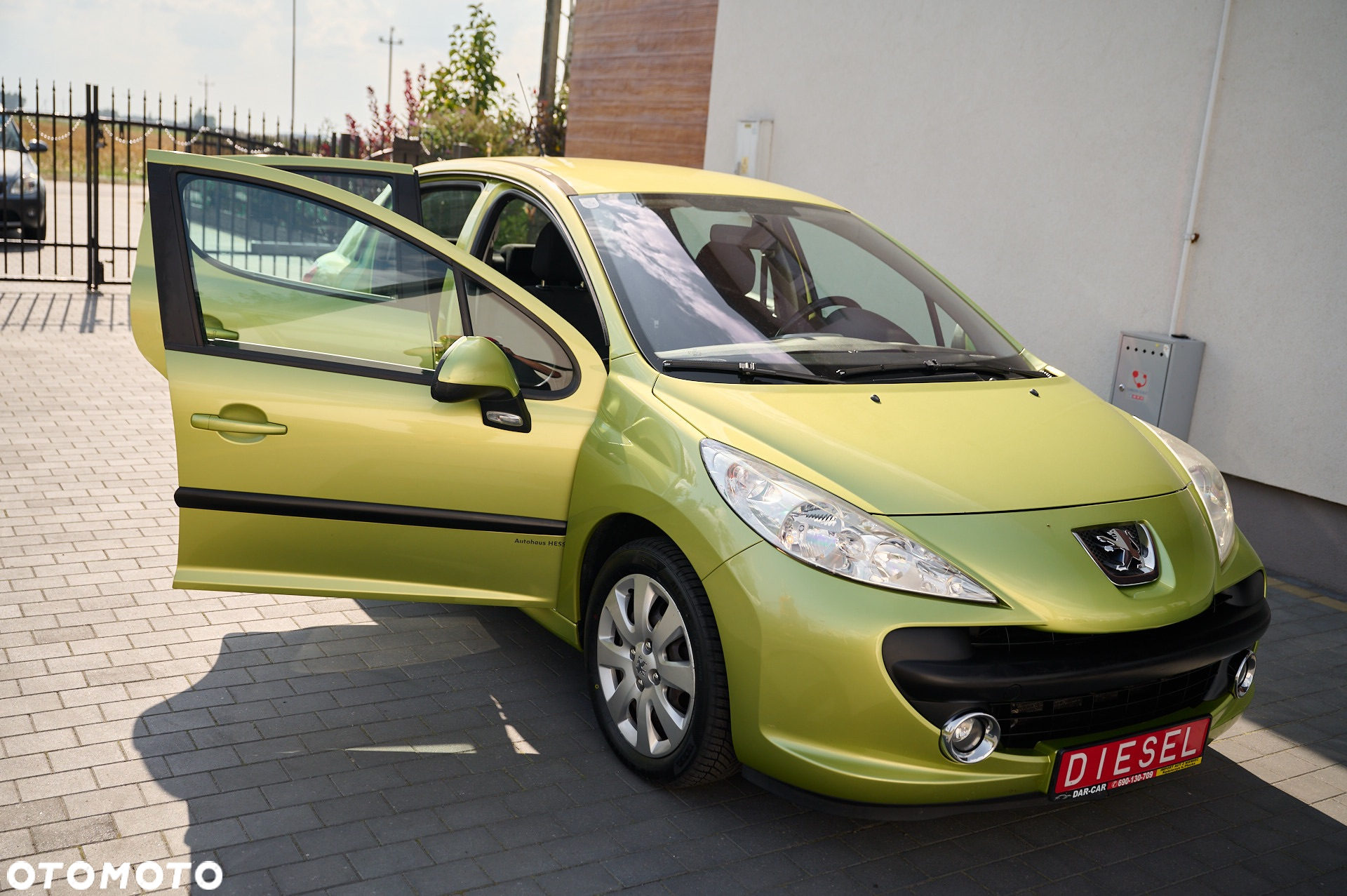 Peugeot 207 - 17