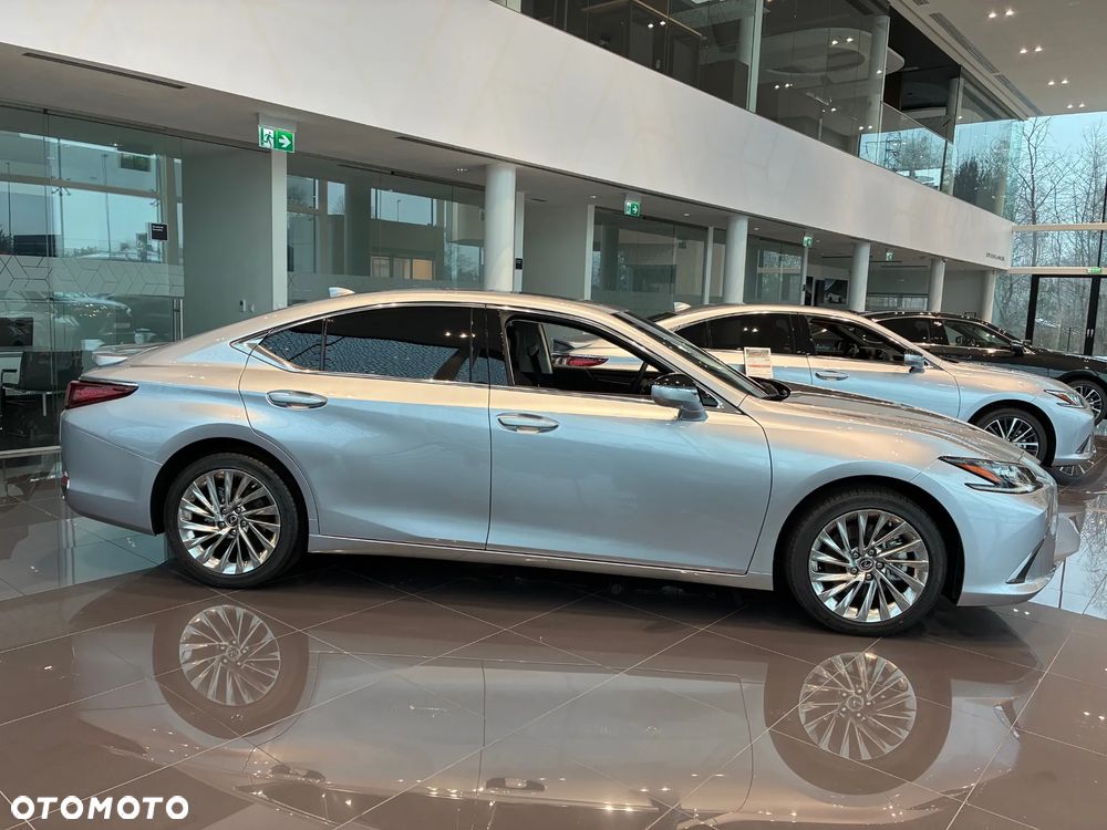 Lexus ES 300h Omotenashi - 4