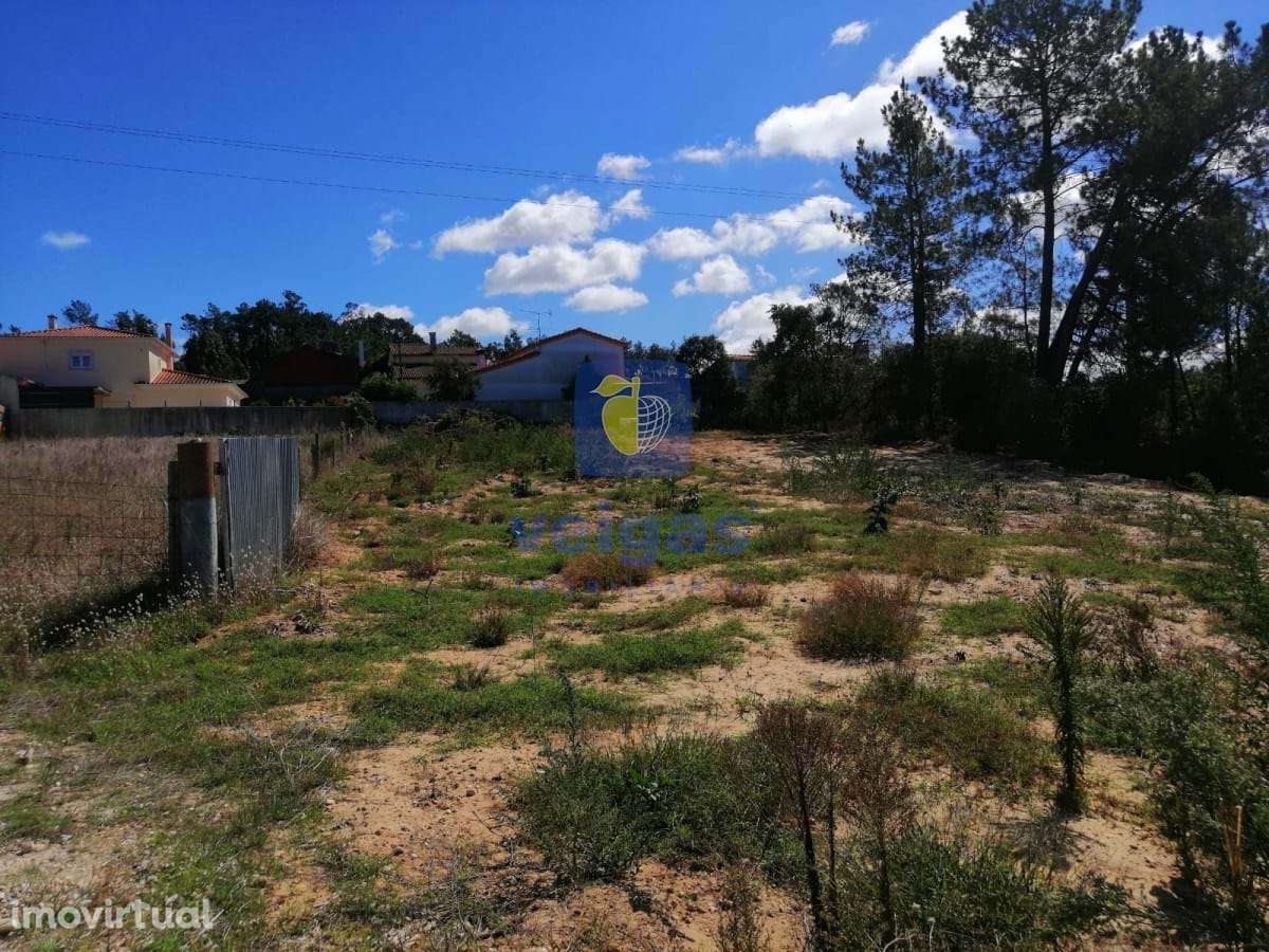 Terreno  sito em  Amor - Grande imagem: 5/11