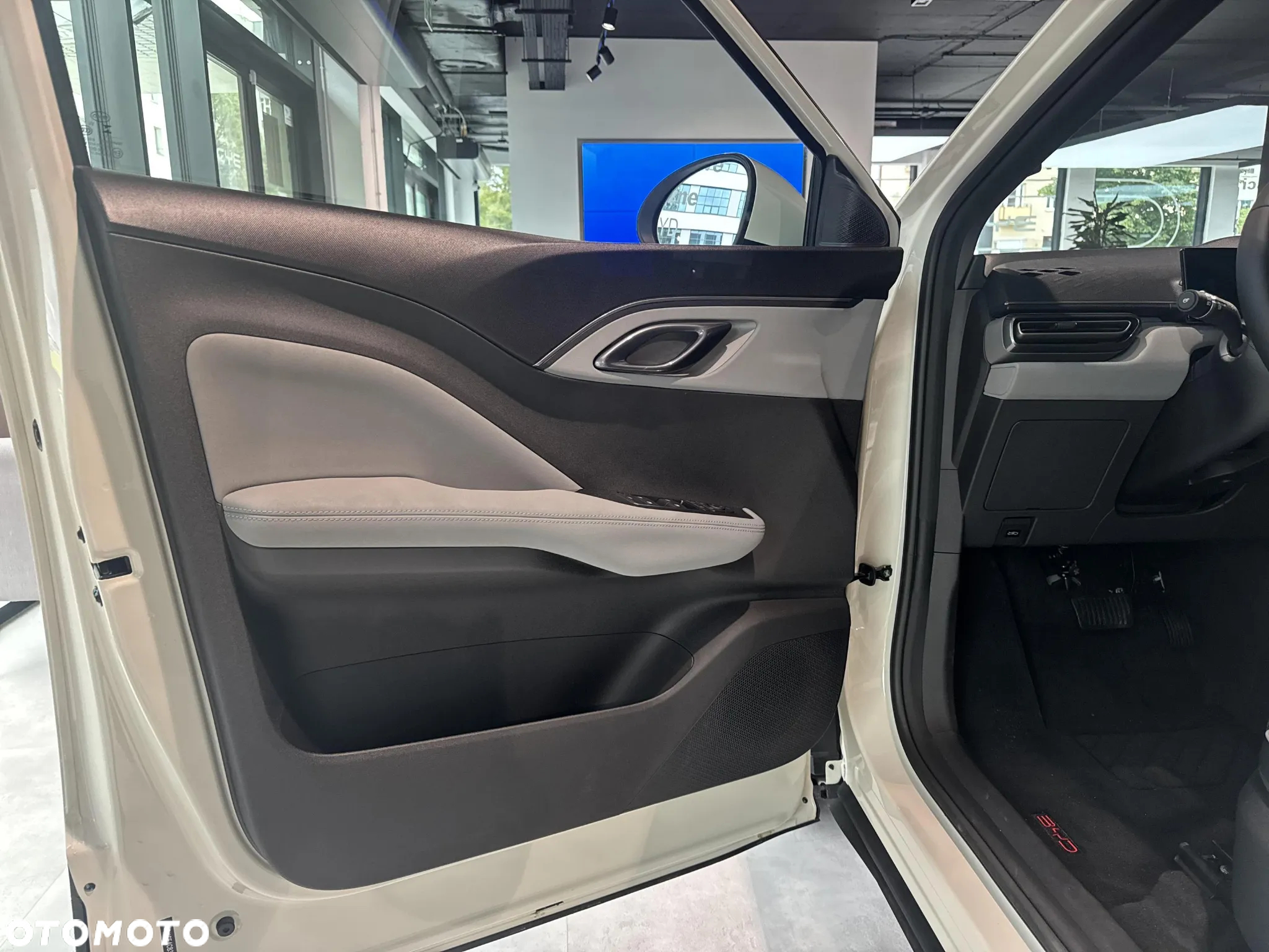 BYD Dolphin Mini - 10