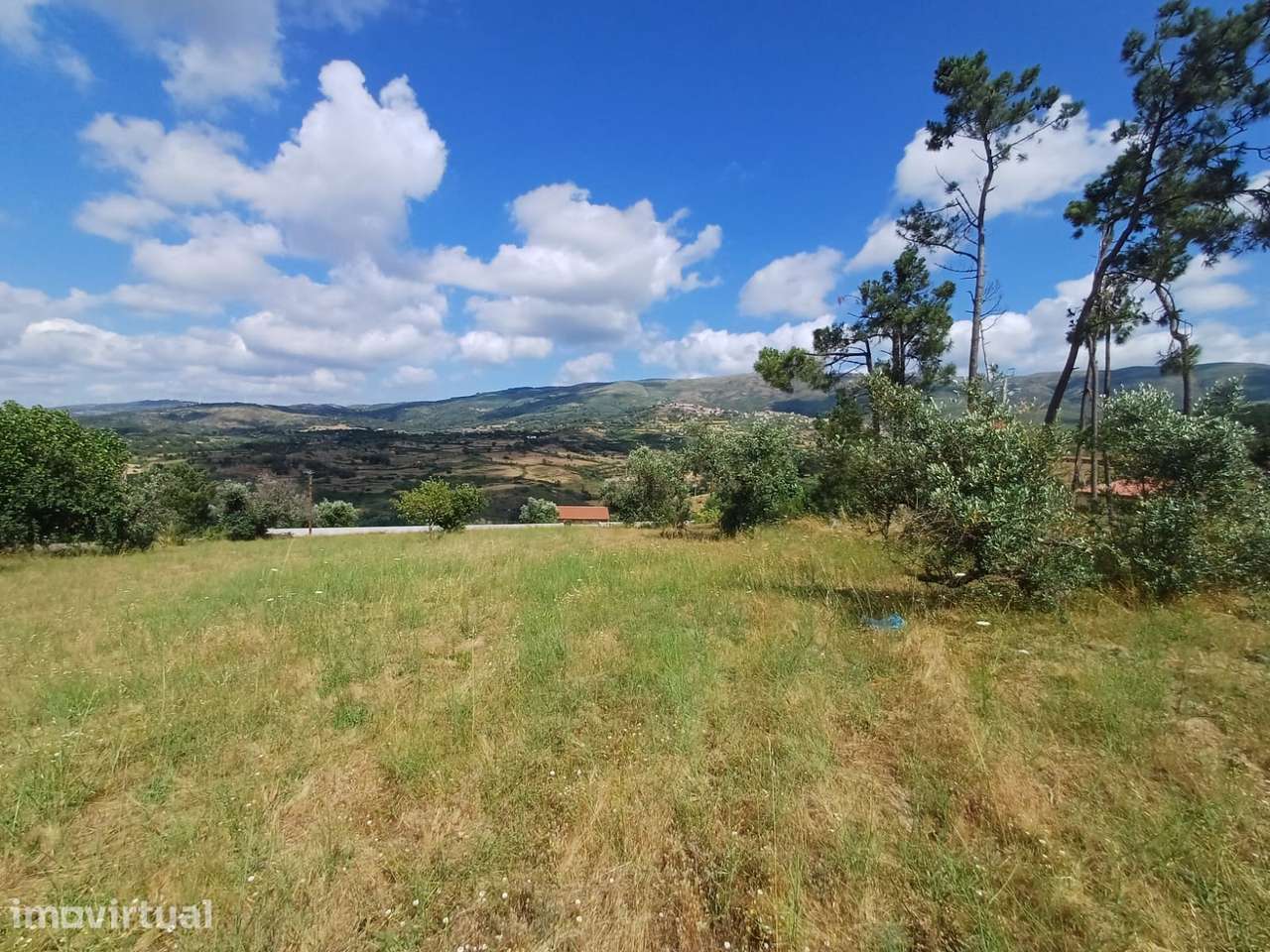 Terreno  Venda em Figueiró da Serra e Freixo da Serra,Gouveia - Grande imagem: 2/7