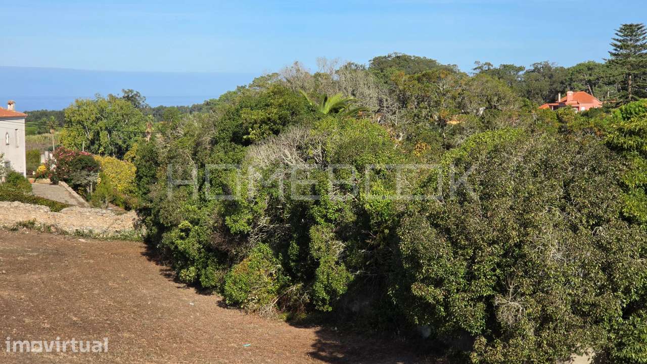 Terreno Urbano 4.723 m2, Almoçageme, Colares, Sintra - Grande imagem: 4/13