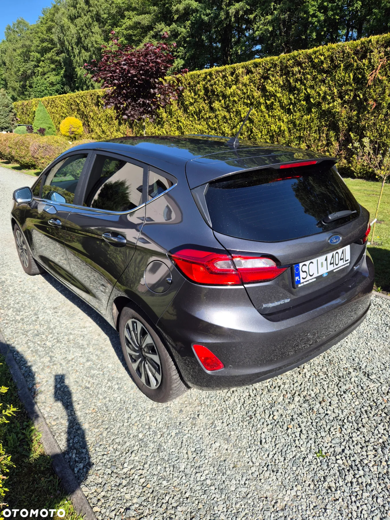 Ford Fiesta 1.0 EcoBoost Hybrid S&S TITANIUM - 8