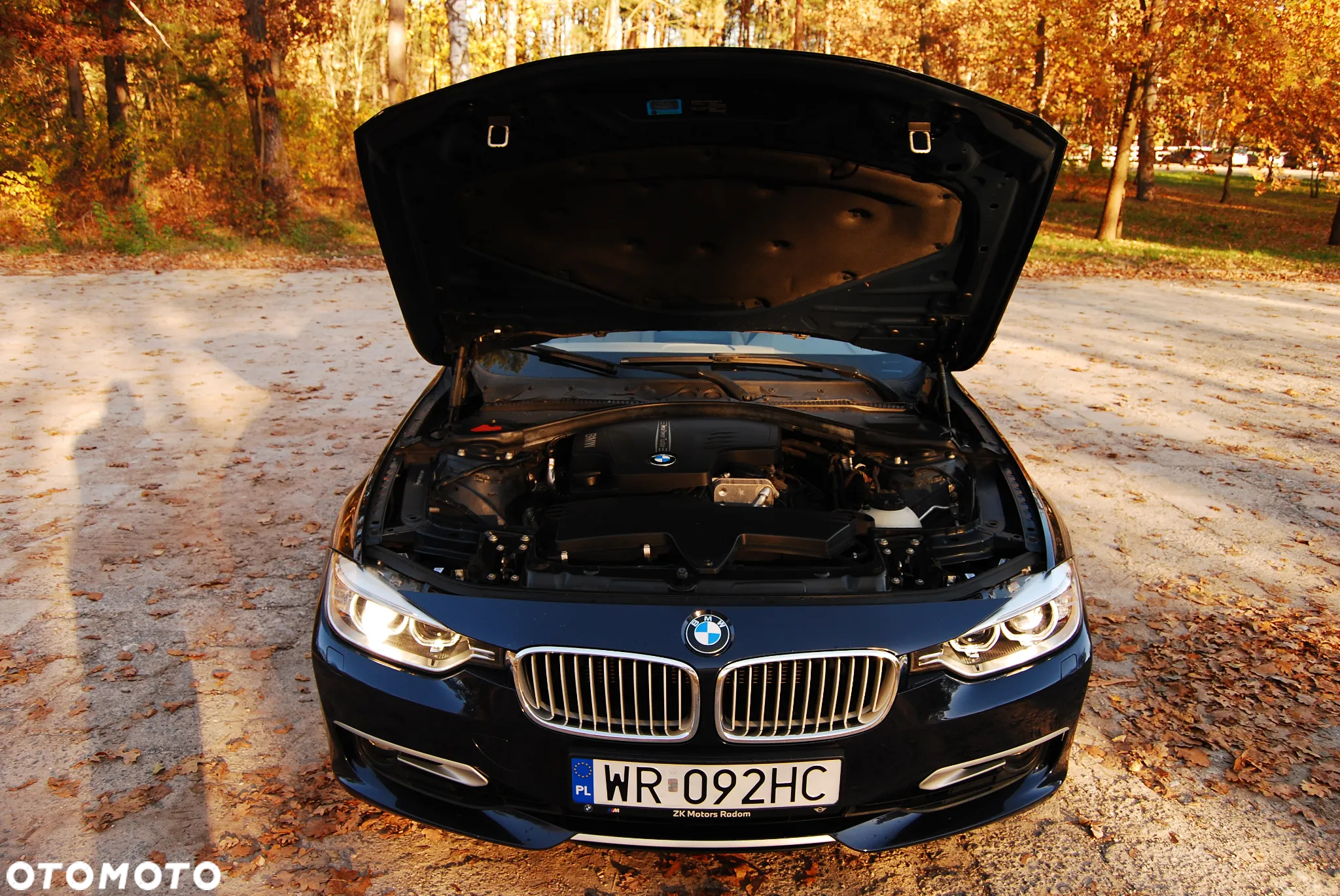 BMW Seria 3 320i Modern Line - 38