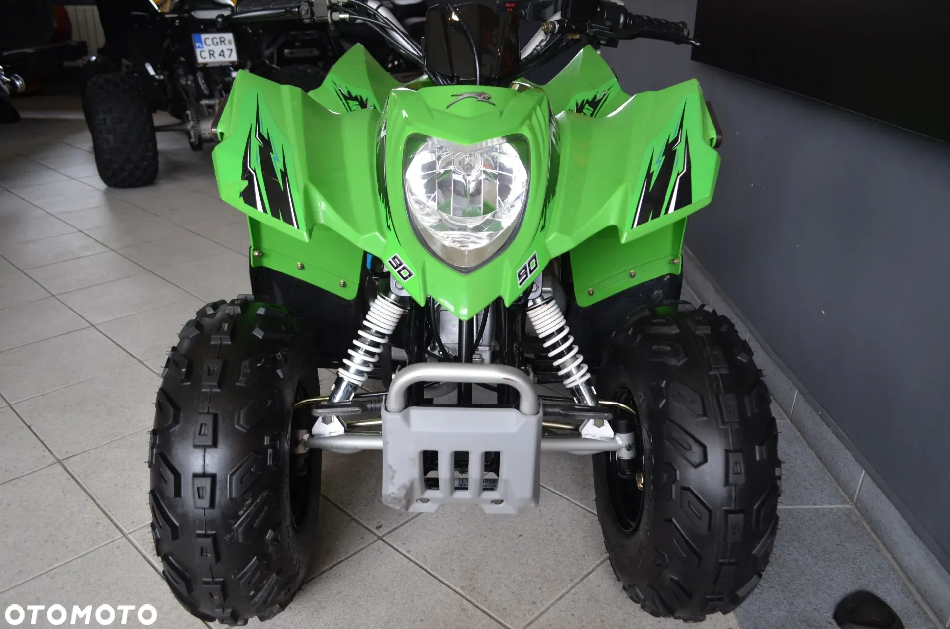 Arctic Cat Inny