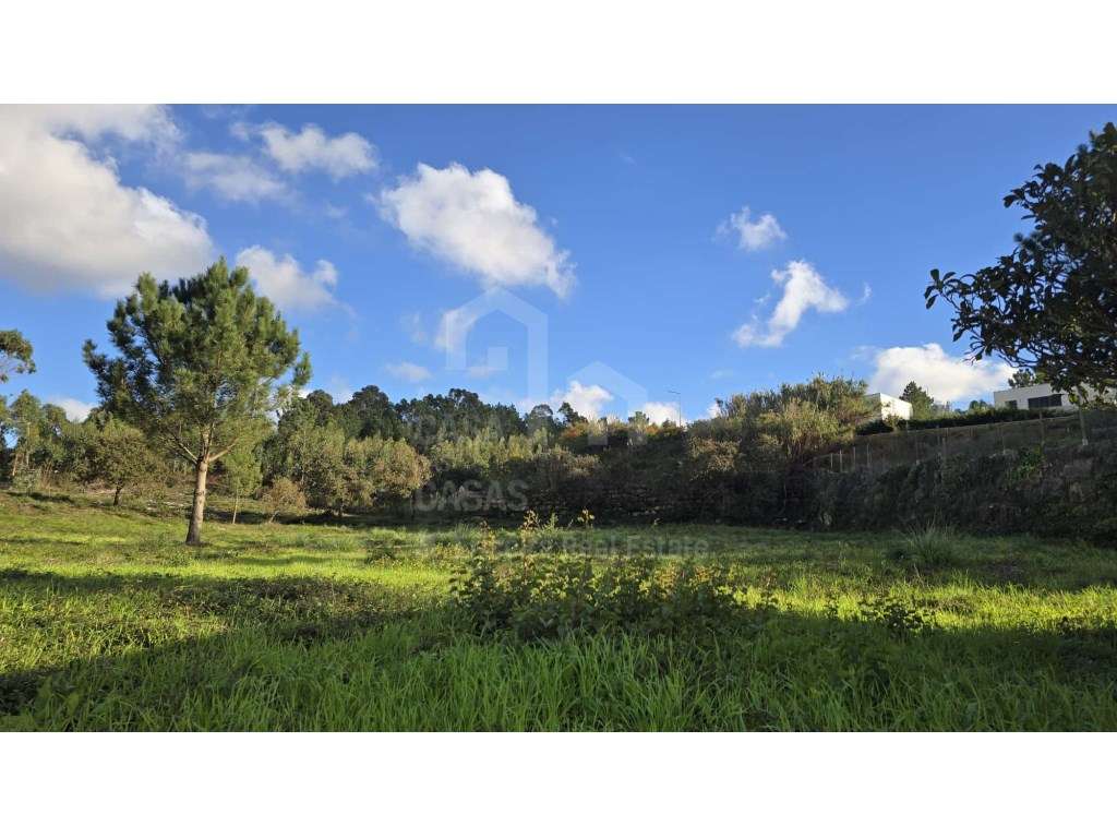 Vende Terreno - Ericeira 6 km, A Casa das Casas - Grande imagem: 5/9