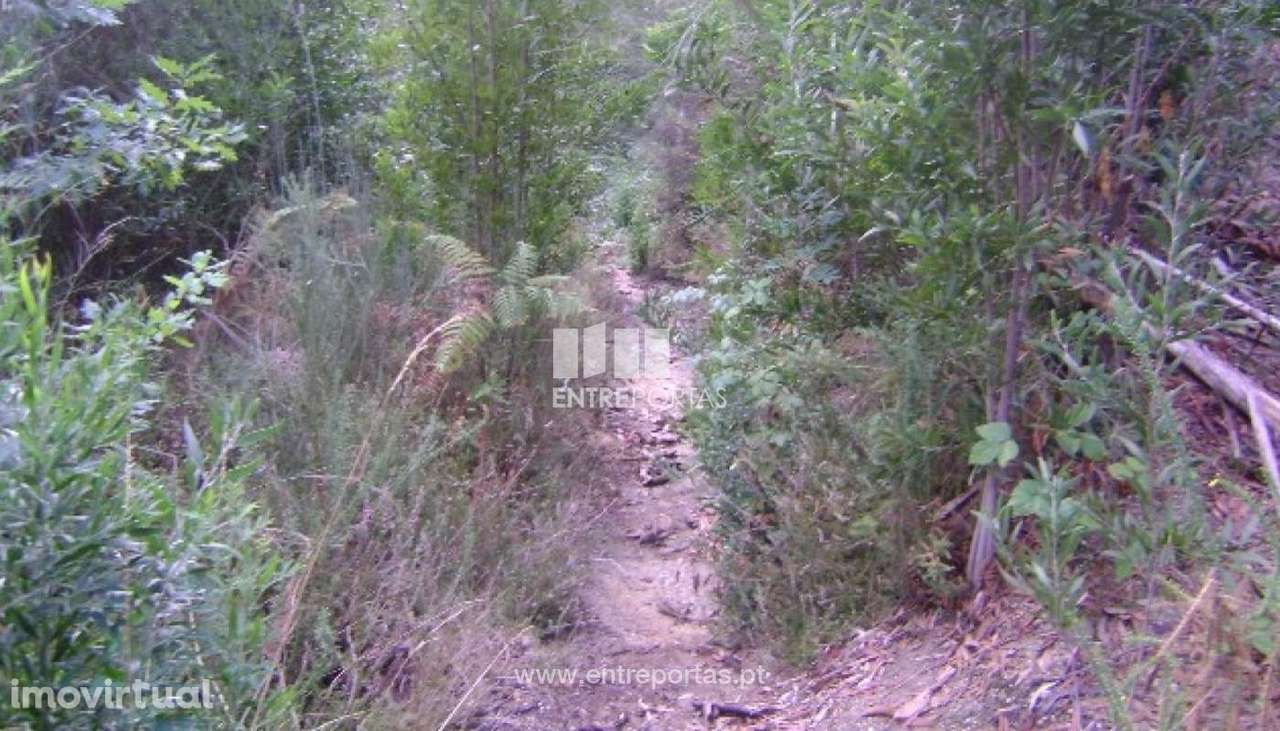 Venda Terreno, Vila Boa de Quires, Marco de Canaveses - Grande imagem: 4/10