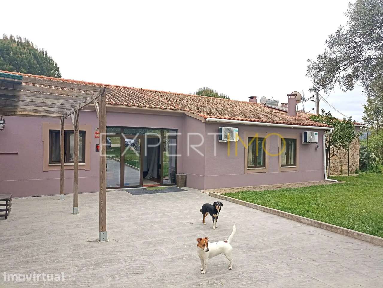 Moradia inserida em quinta rural, licenciada para turismo e... - Grande imagem: 2/52