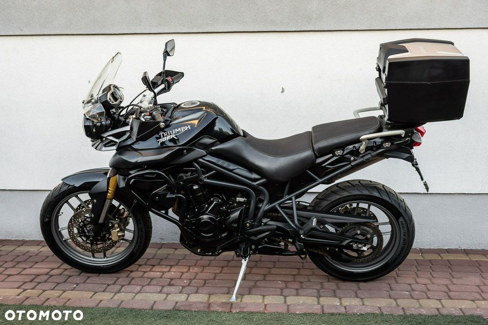 Triumph Tiger - 6