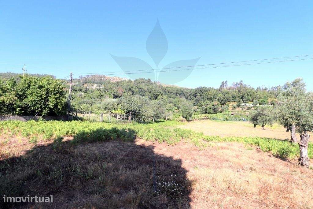 Terreno p/construção  ANAIS - Ponte de Lima - Grande imagem: 4/13