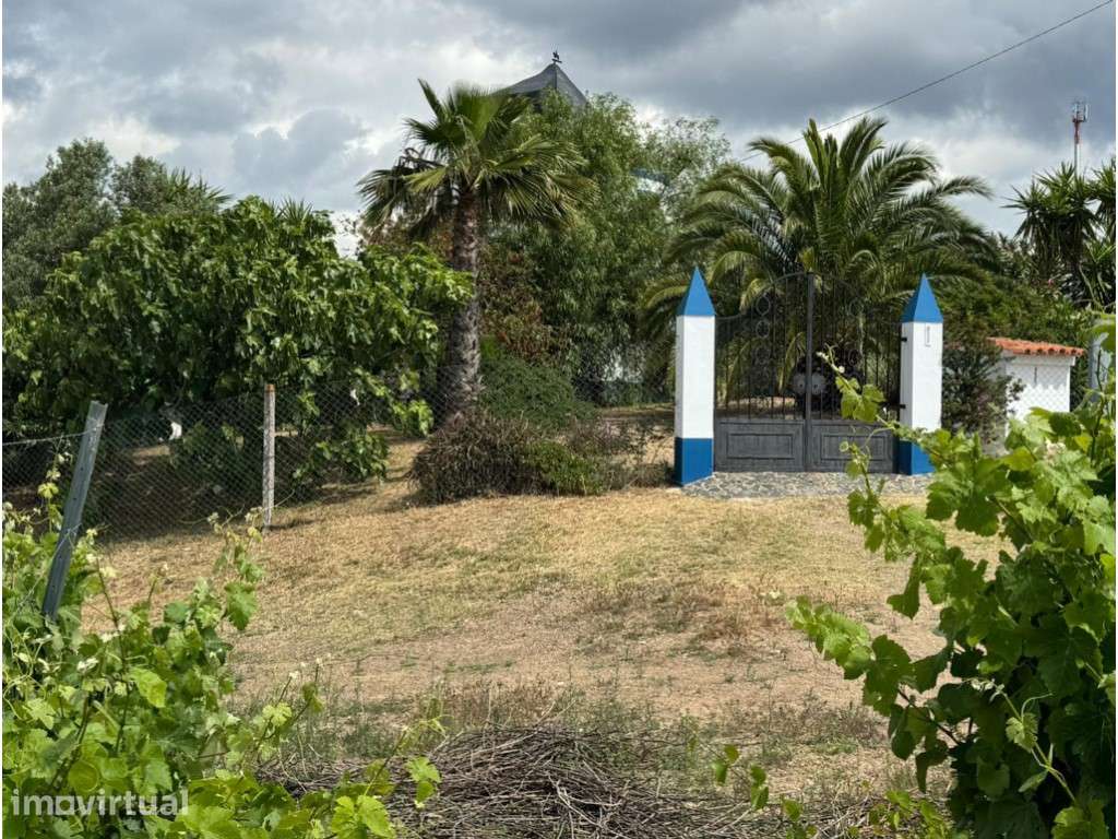 Casa com Moinho em pleno Alentejo - Grande imagem: 3/21