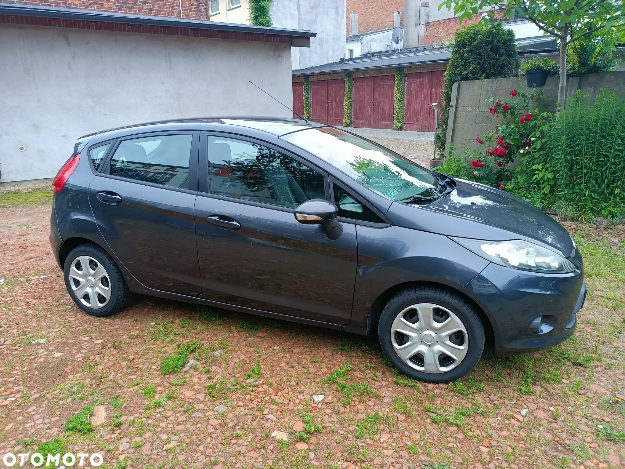 Ford Fiesta - 1