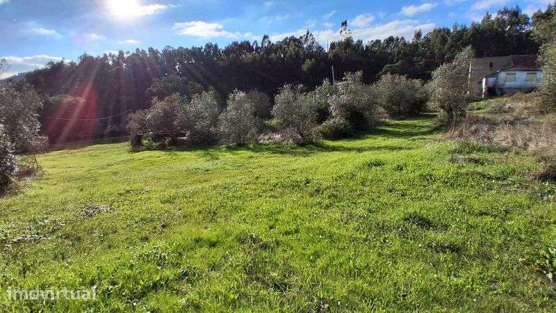 Quinta com 3 hectares a 20 km de Lisboa - Grande imagem: 3/8