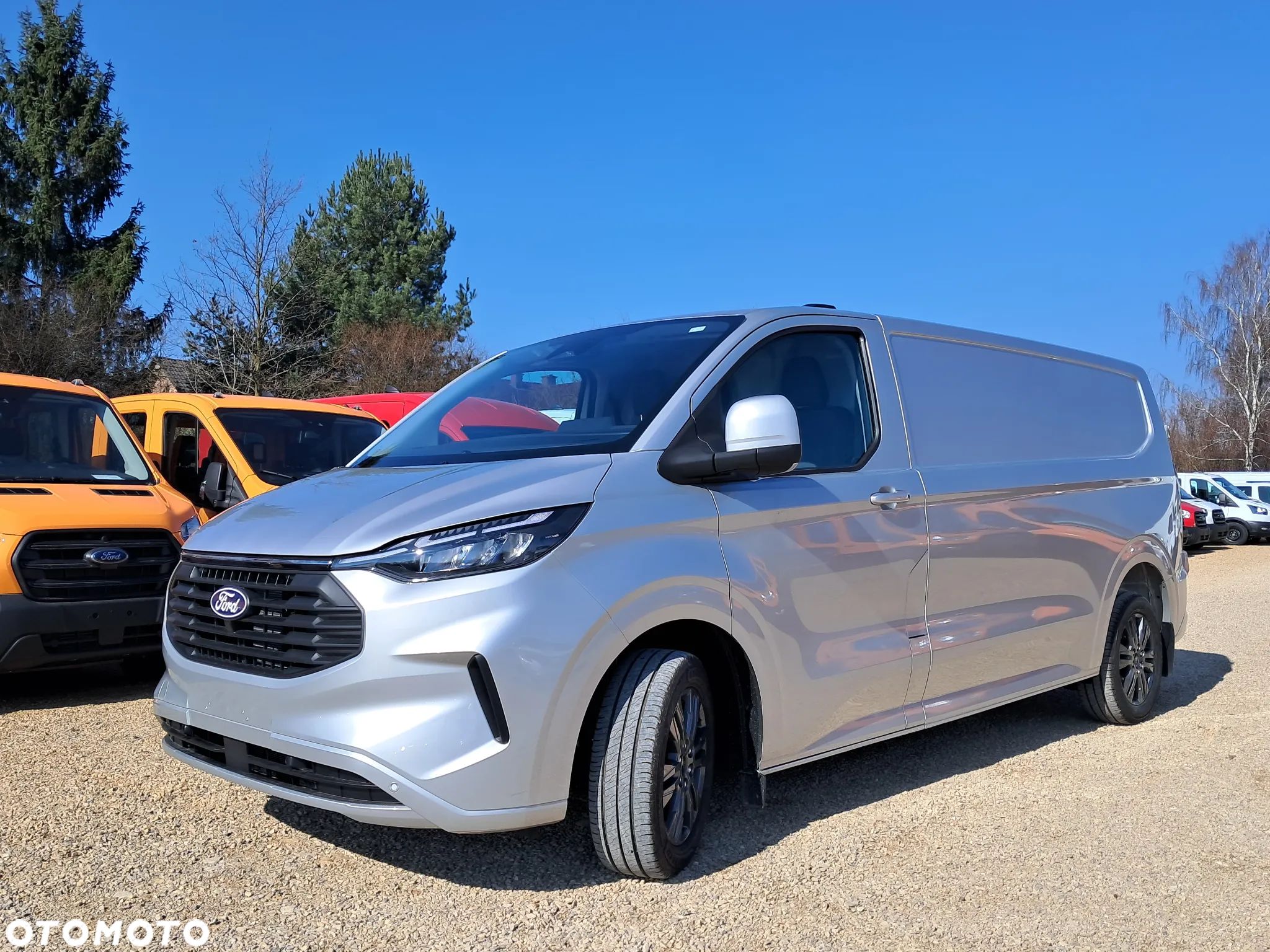 Ford Custom Van - 1