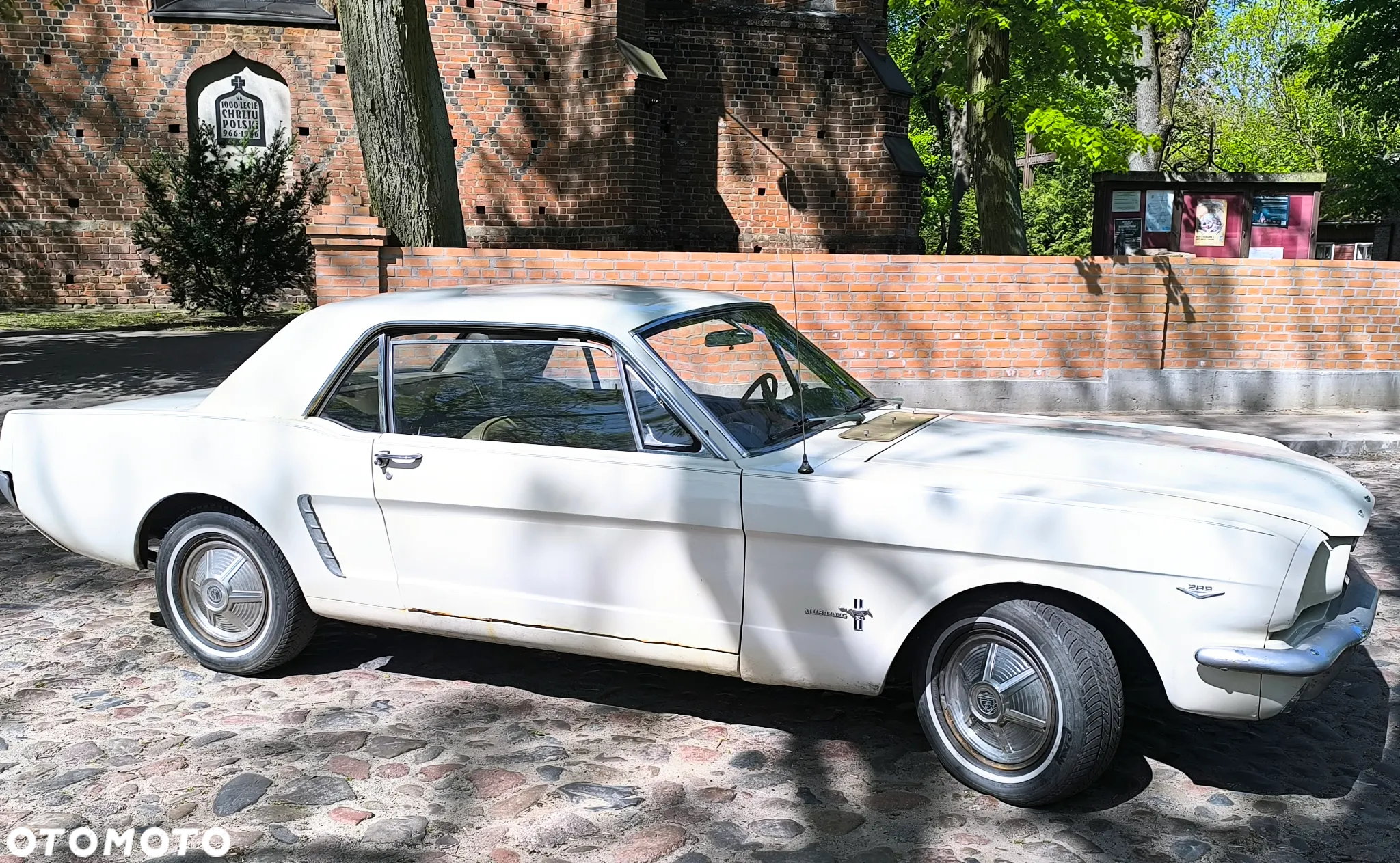 Ford Mustang - 5