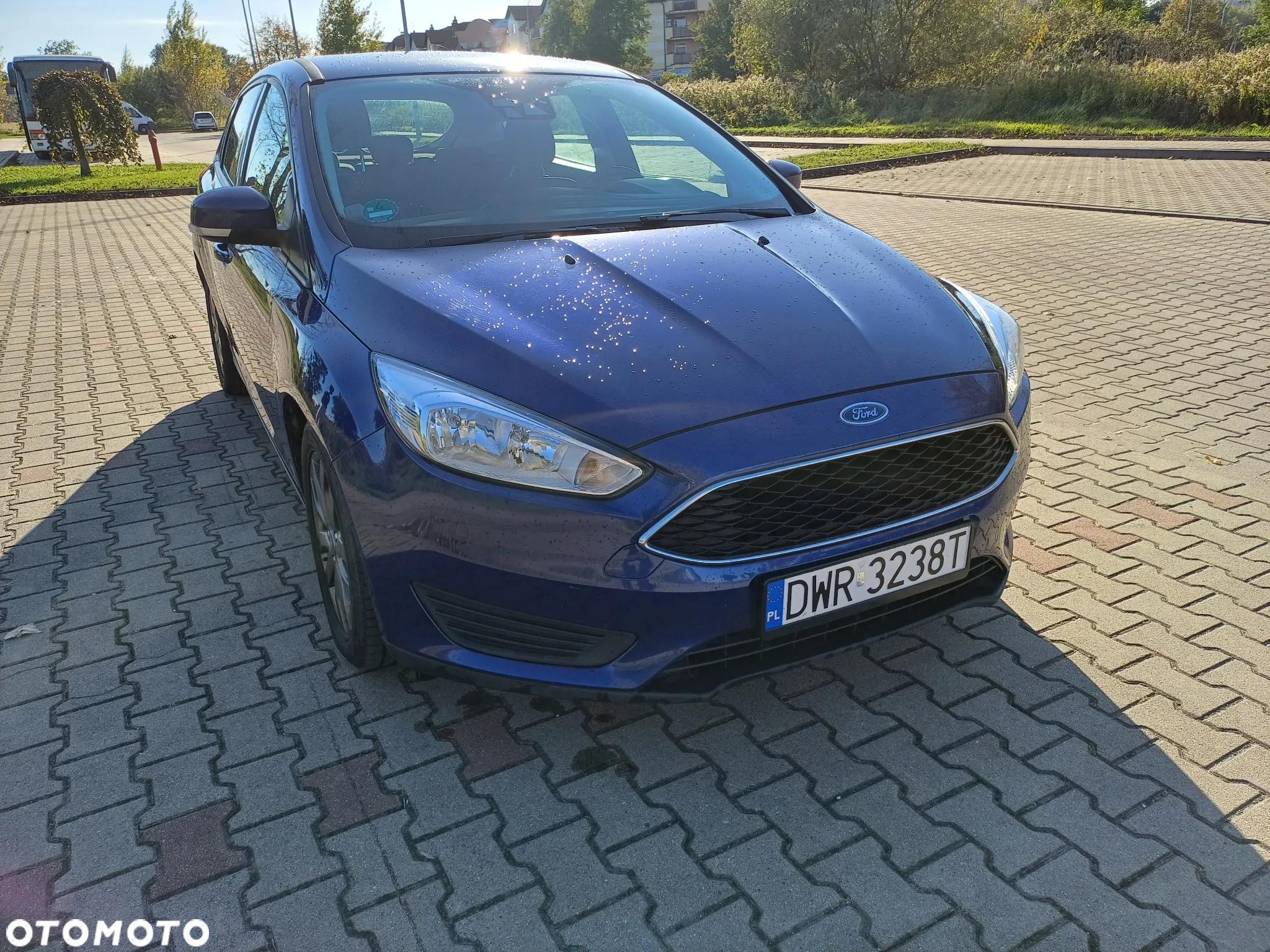 Ford Focus 1.0 EcoBoost 99g Gold X (Trend) - 8