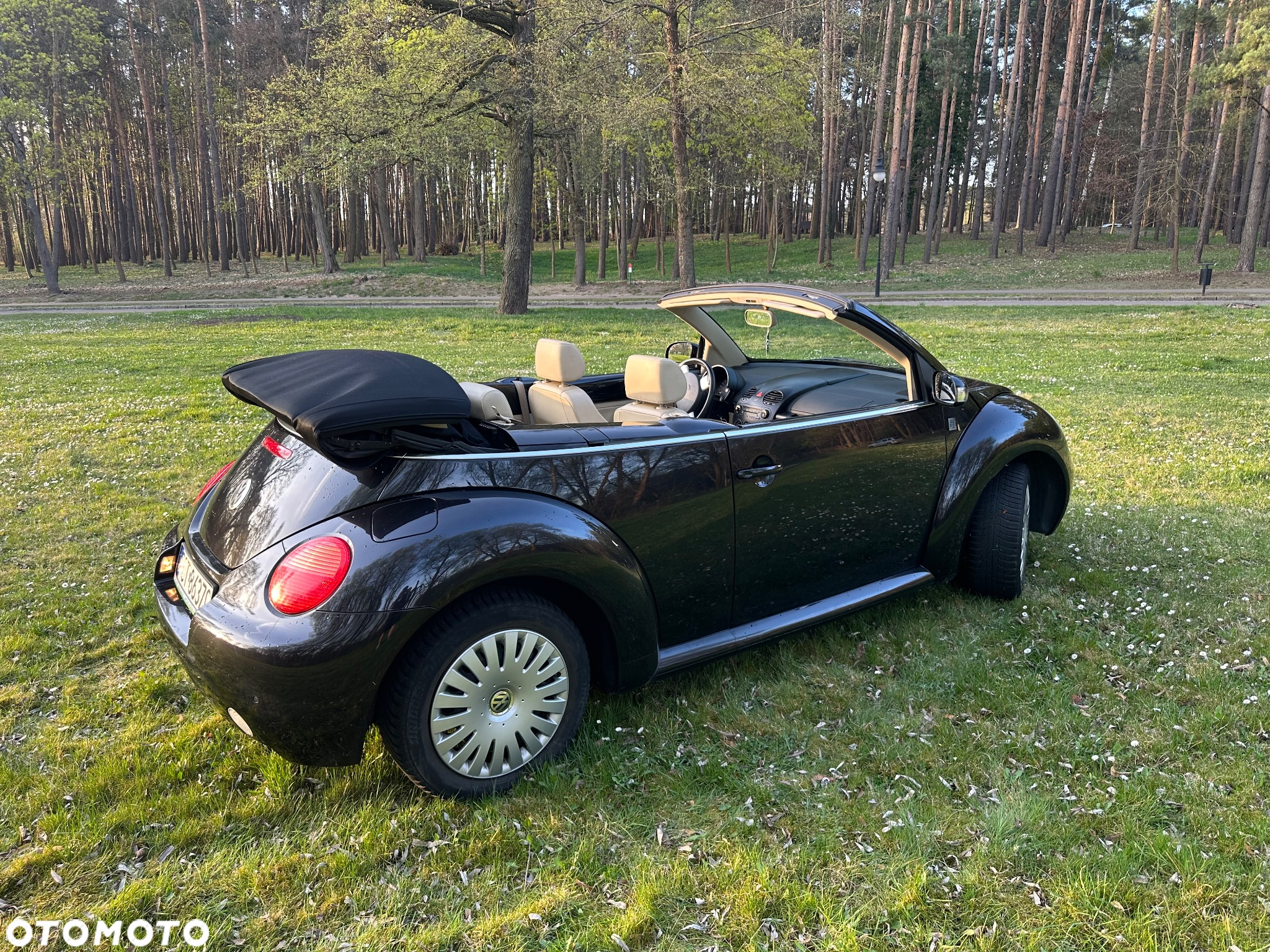 Volkswagen New Beetle 2.0 - 16