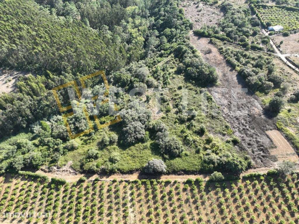 Terreno em Mafra - Terreno Rústico com 3562m2 localizado em Sobreiro - Grande imagem: 3/20