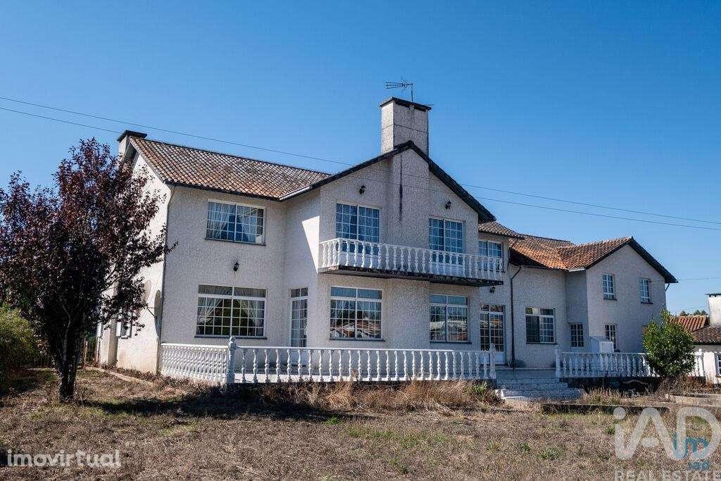 Casa / Villa T4 em Figueira de Lorvão - Grande imagem: 3/36