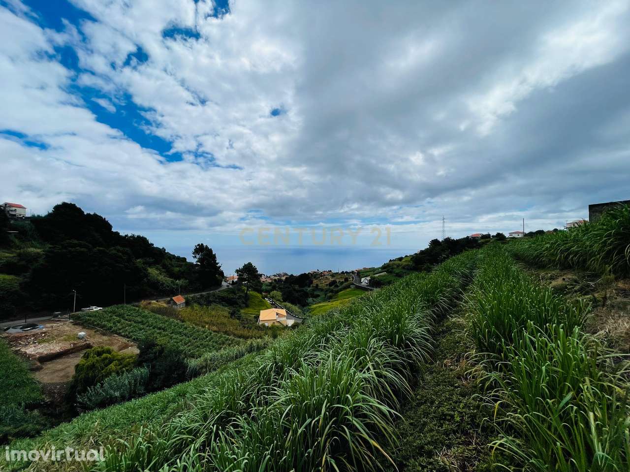 Moradia T3 em Canhas, Ponta do Sol - Grande imagem: 3/35