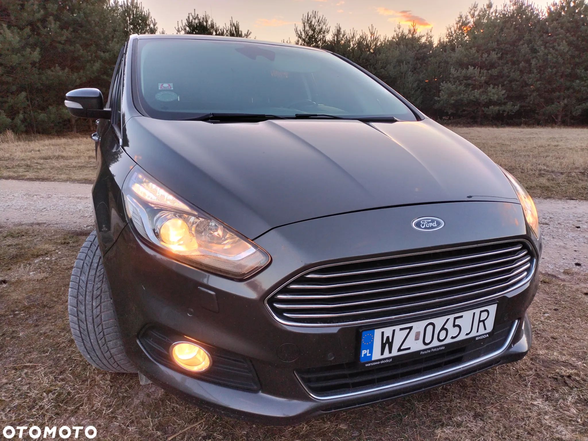 Ford S-Max 2.0 EcoBoost Titanium - 1