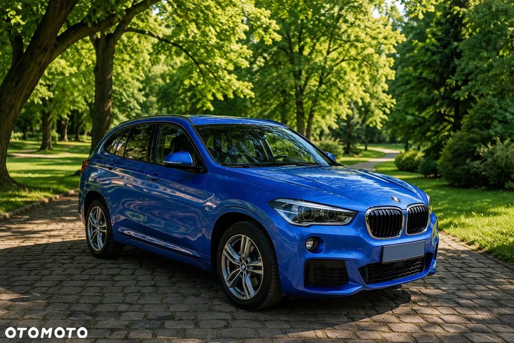 BMW X1 xDrive20d M Sport - 1