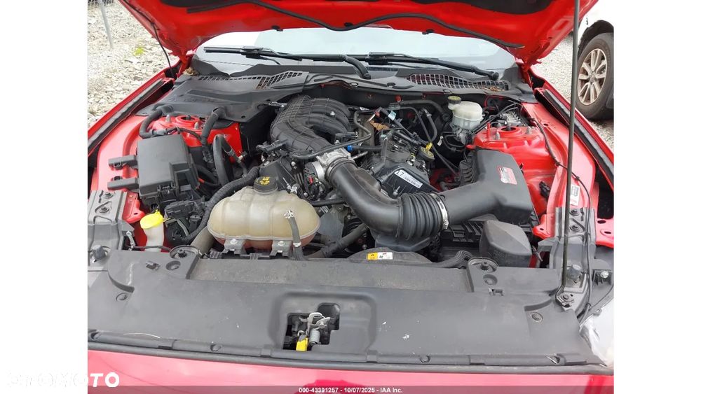 Ford Mustang - 14