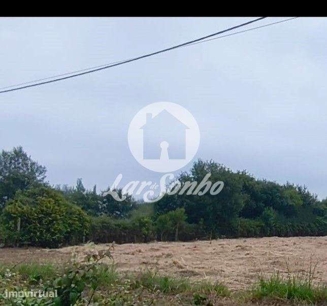 Terreno em Apúlia - Grande imagem: 2/14