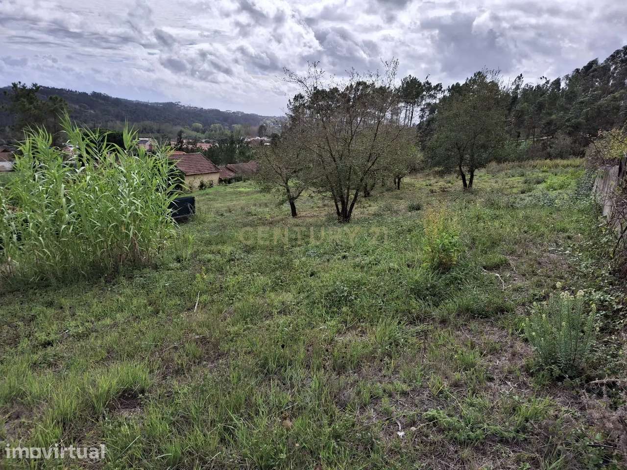 Terreno com projecto de habitação de moradia terrea - Grande imagem: 3/13