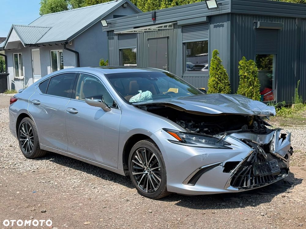 Lexus ES 300h Omotenashi - 12