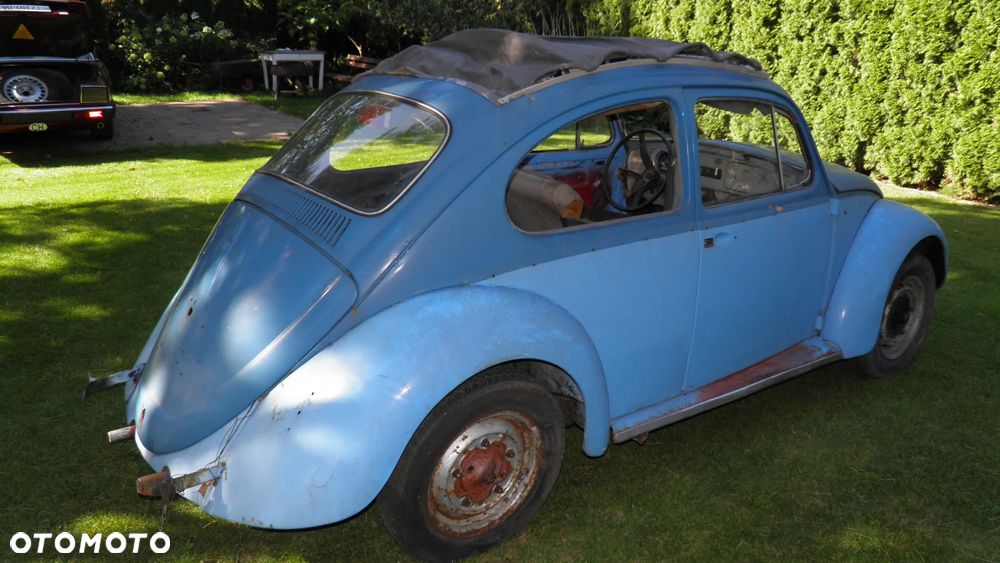 Volkswagen Beetle - 6