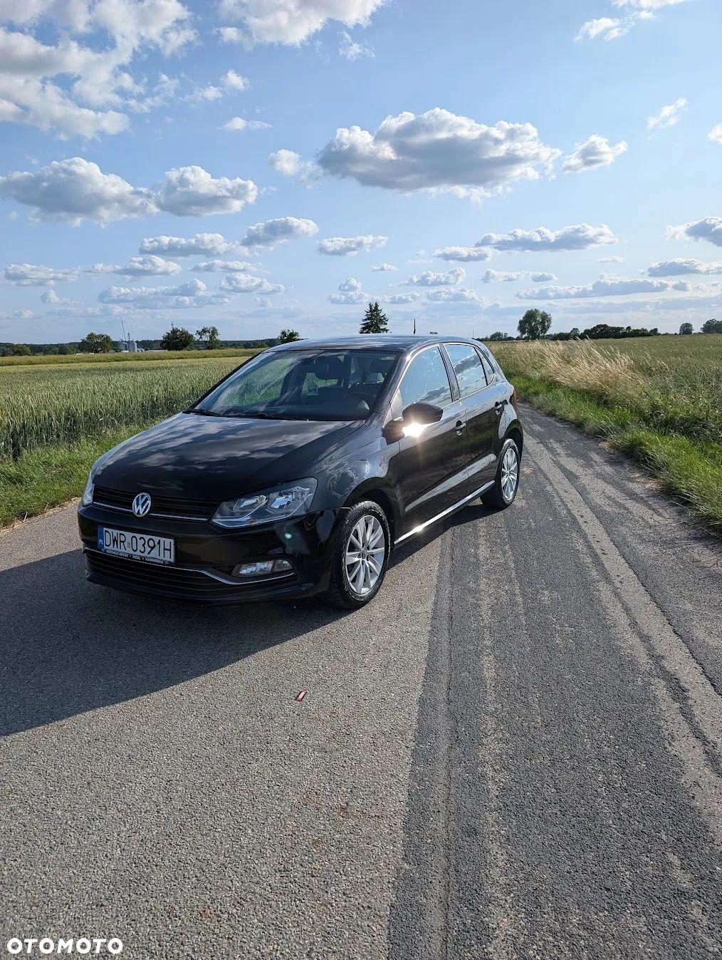 Volkswagen Polo 1.0 Blue Motion Technology Allstar - 1