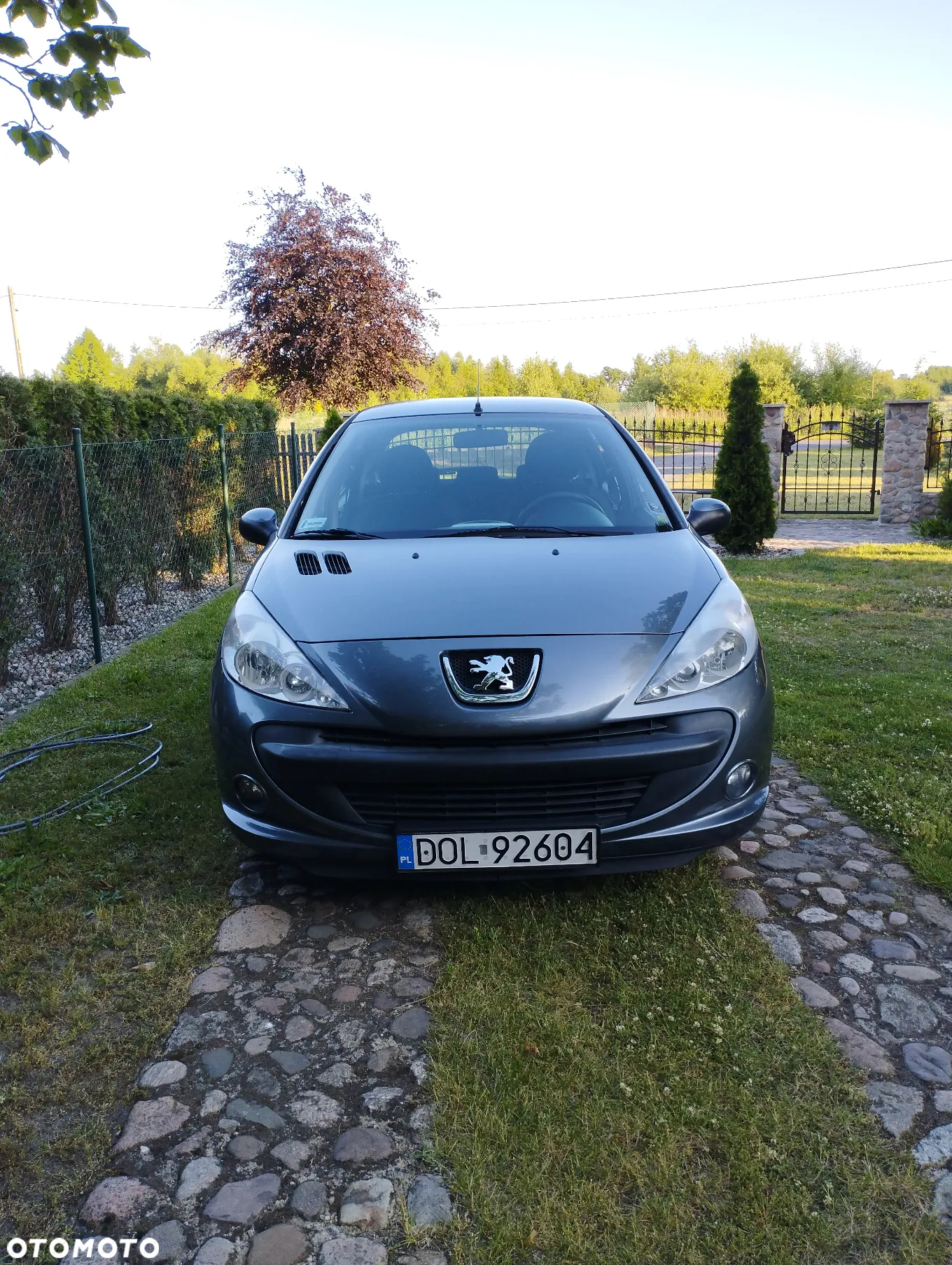 Peugeot 206 - 8