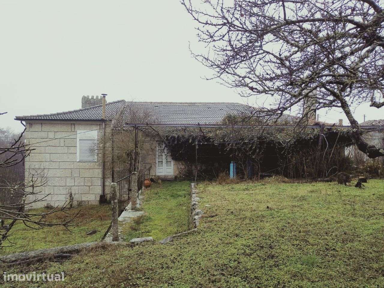 Quinta da Ribeira - Chaves - Grande imagem: 5/19