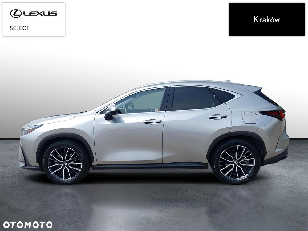 Lexus NX - 2