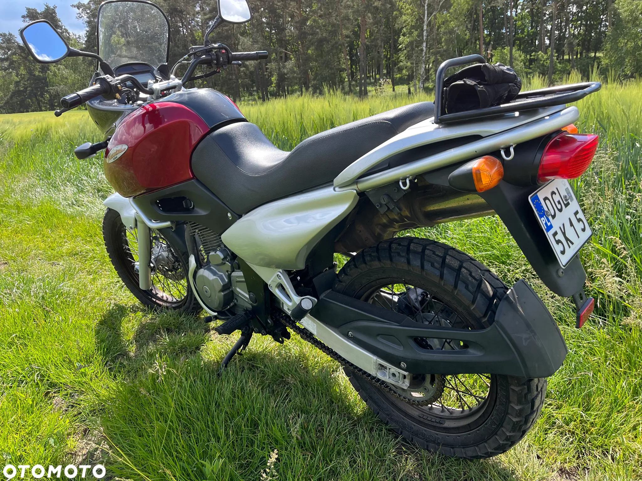 Suzuki XF