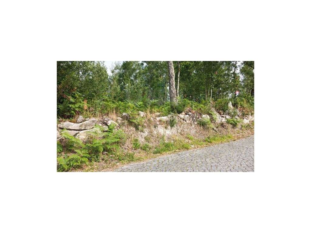 Terreno para construção Riba de Âncora, Caminha - Grande imagem: 2/4