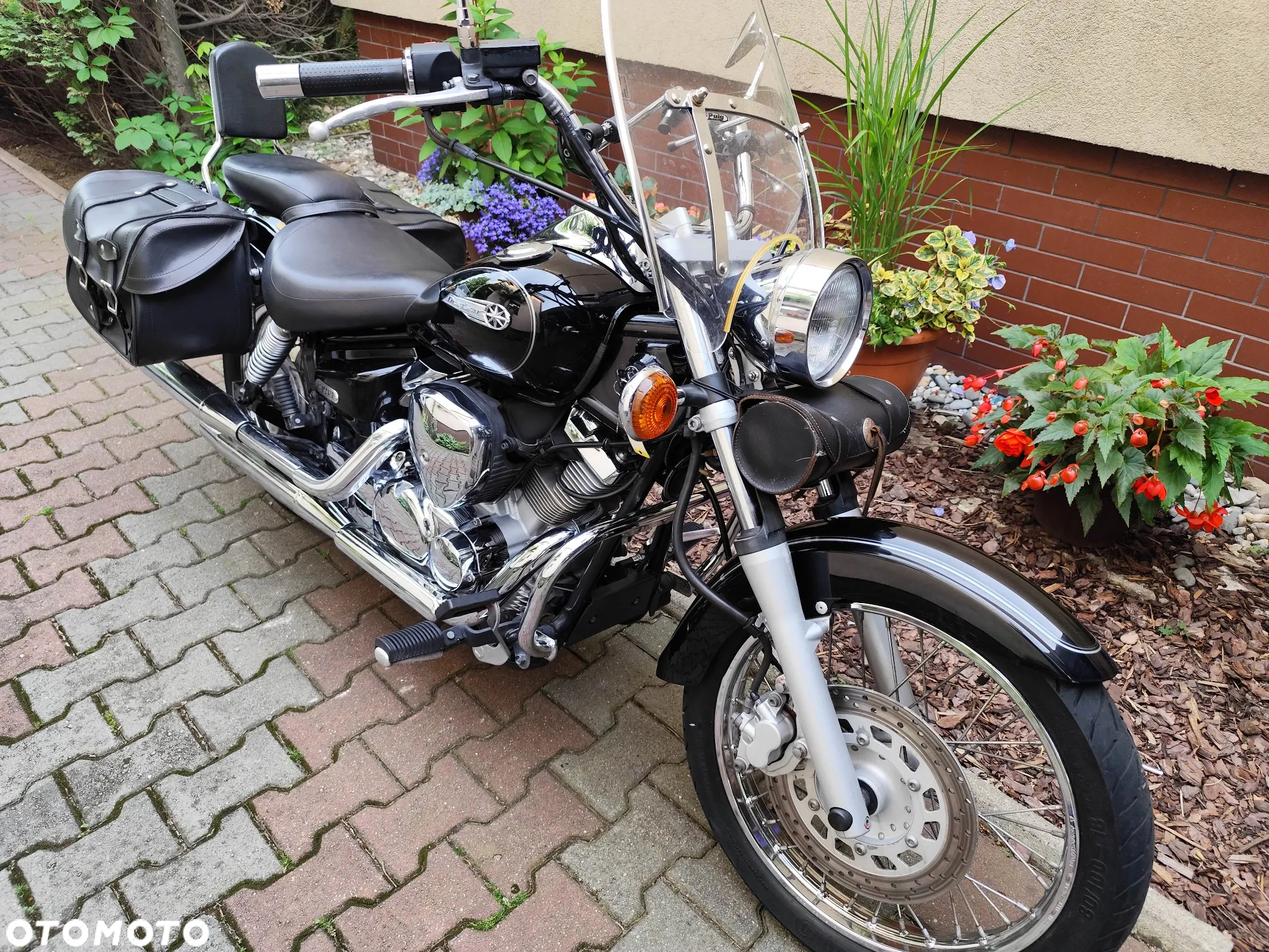 Yamaha Drag Star - 3