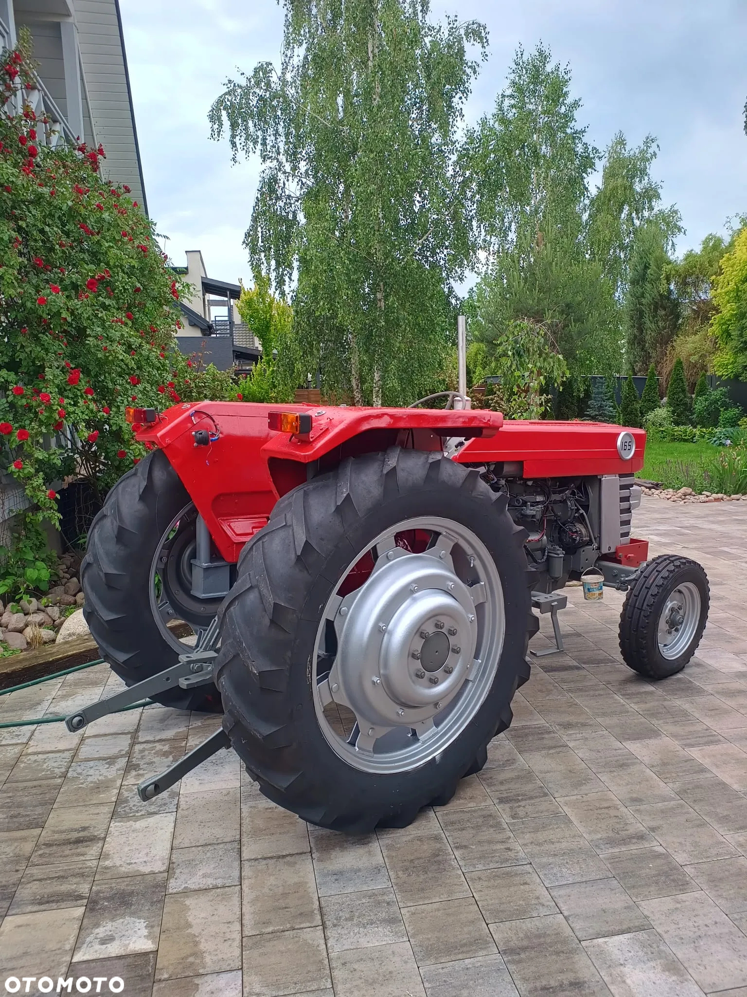 Massey Ferguson - 5