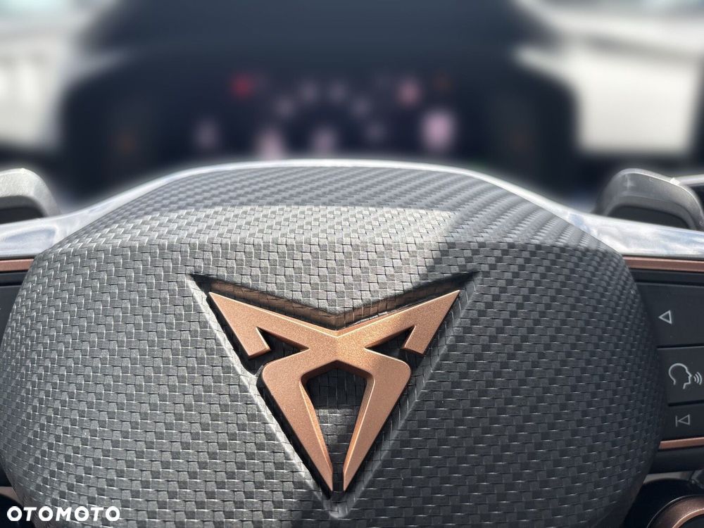 Cupra Terramar 2.0 TSI 4Drive DSG - 22