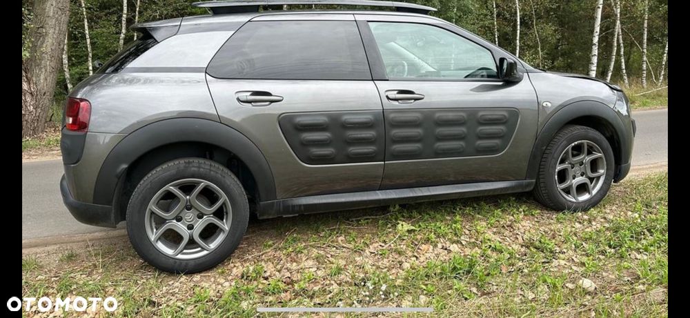 Citroën C4 Cactus 1.6 Blue HDi Shine ETG - 33