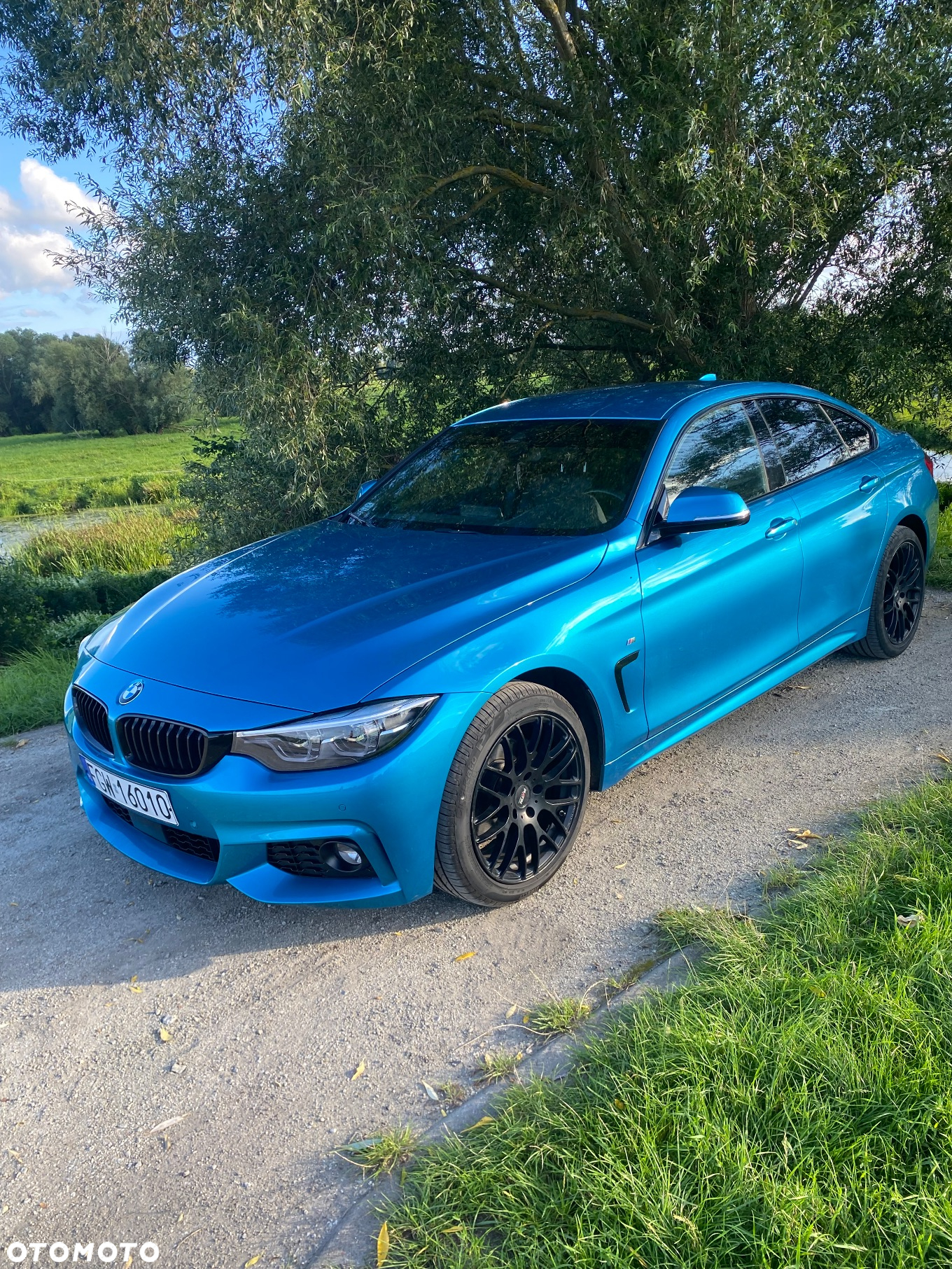BMW Seria 4 420d - 18