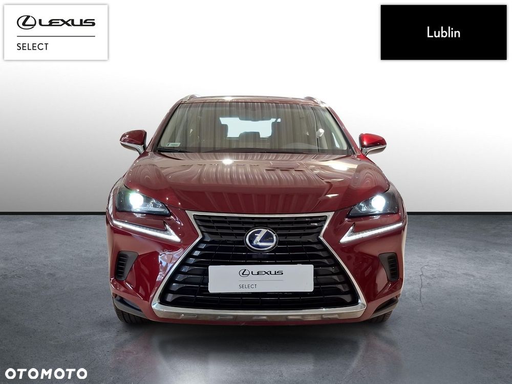Lexus NX 300h Elegance AWD - 8