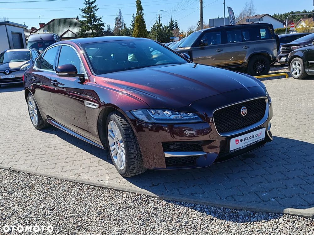 Jaguar XF E-Performance Pure - 11