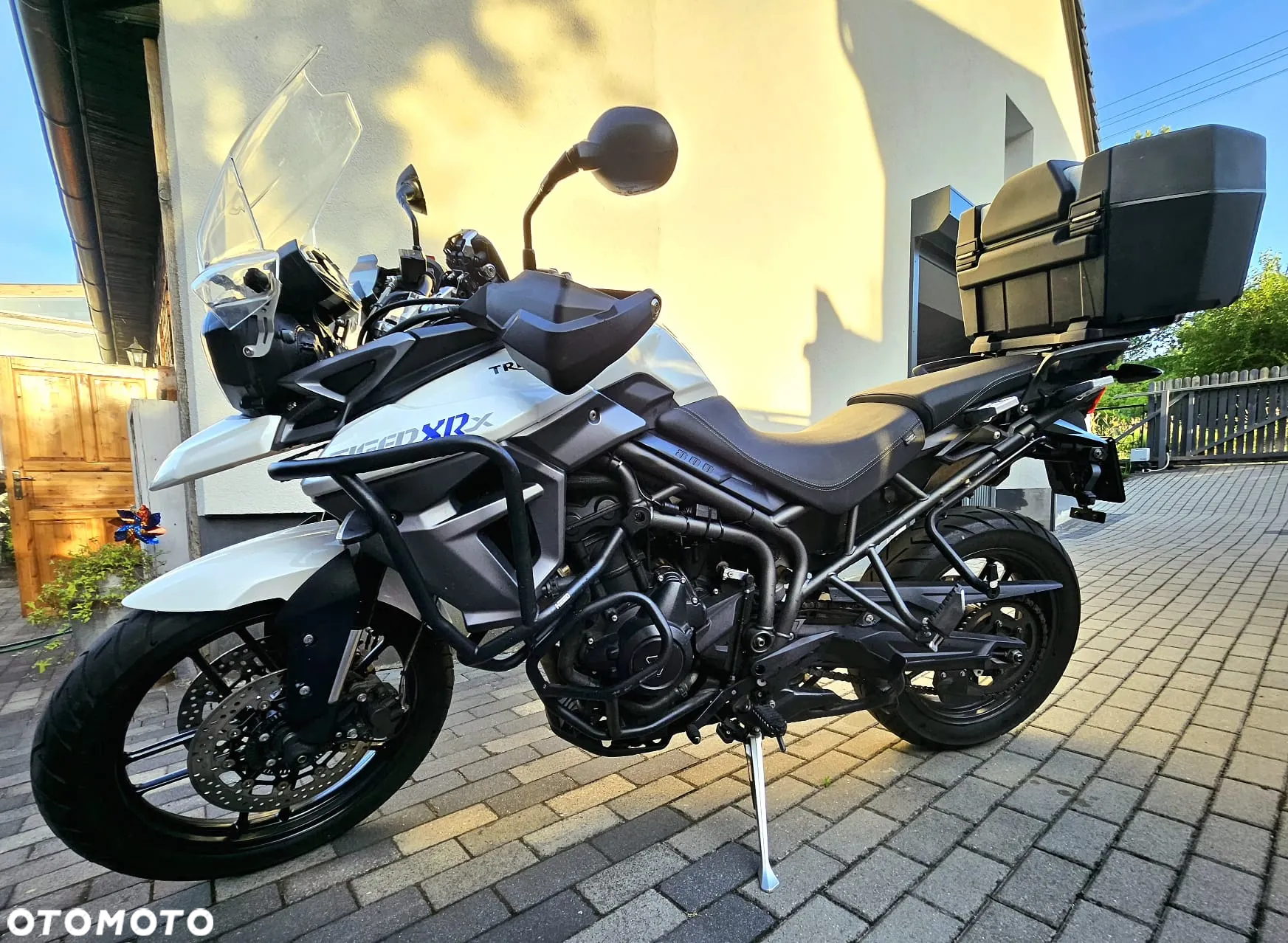 Triumph Tiger - 2