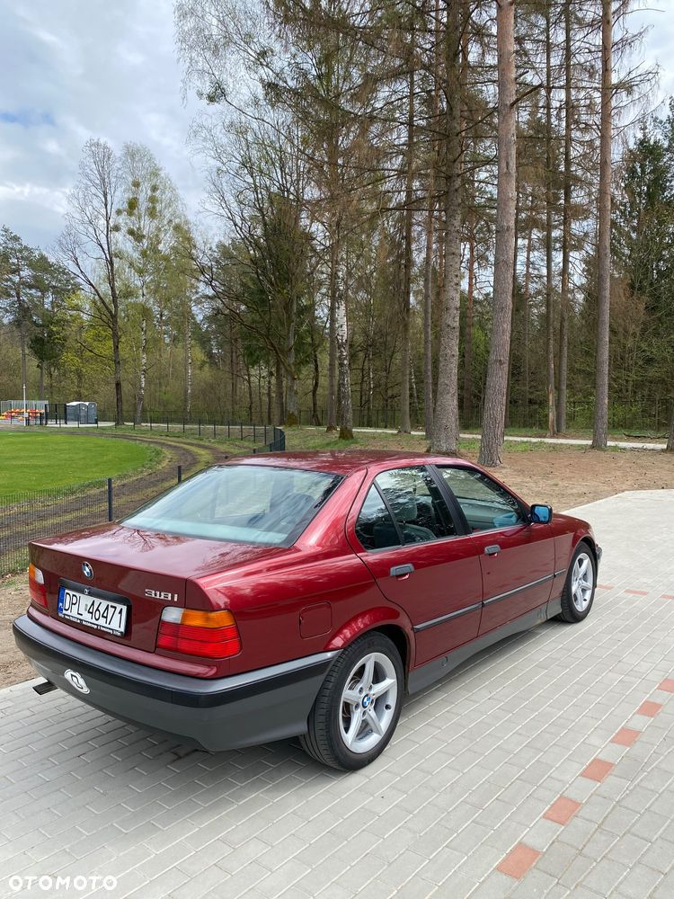 BMW Seria 3 - 34